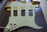 Custom Pick Guard